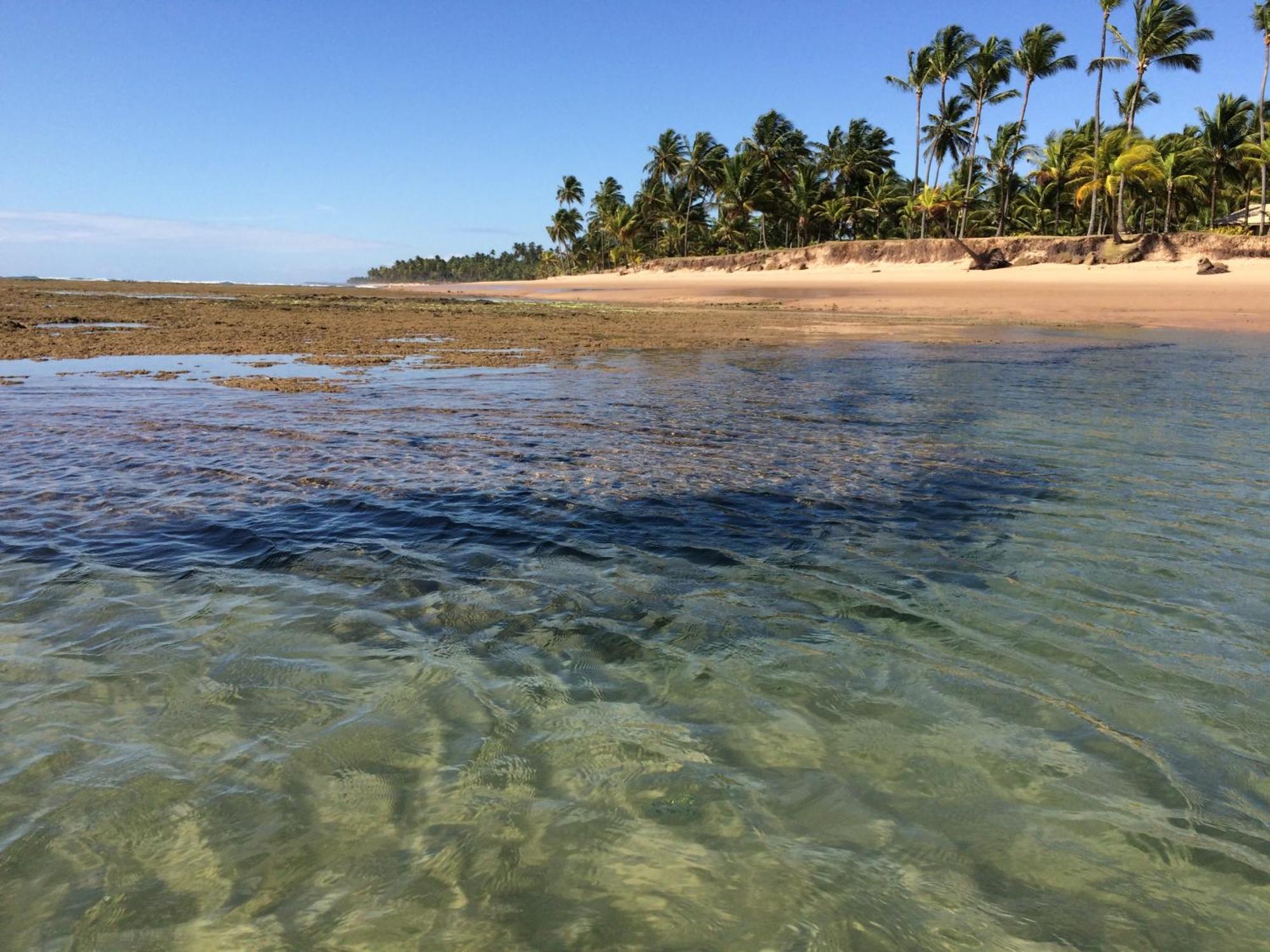 Pousada Velas E Vento - Barra Grande, Taipu De Fora, Marau 巴拉格兰德 外观 照片