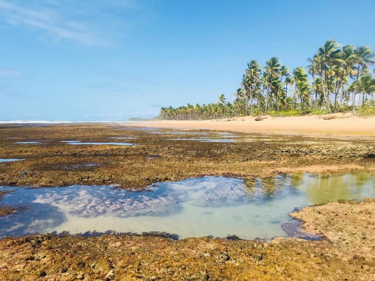 Pousada Velas E Vento - Barra Grande, Taipu De Fora, Marau 巴拉格兰德 外观 照片